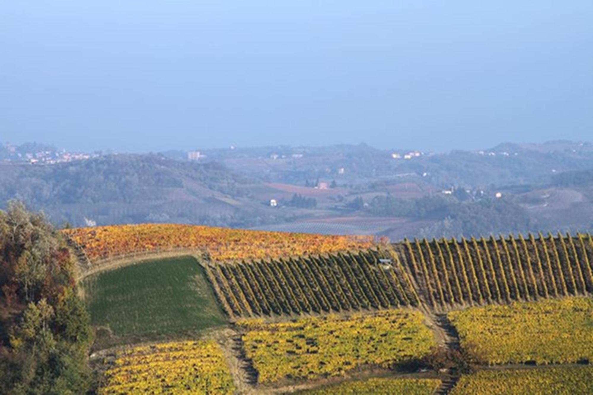 Cascina Marcantonio Акви Терме Экстерьер фото